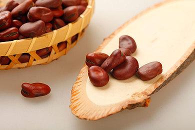 《上古卷轴6》已公布超2400天 发售仍然遥遥无期